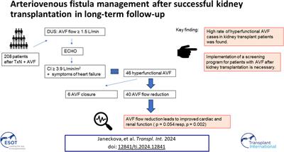 Management of Arteriovenous Fistula After Successful Kidney Transplantation in Long-Term Follow-Up